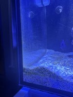 IMG_5979.jpeg