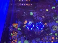 D30497CE-5EA0-4E58-8783-D953C37B16D6.jpeg