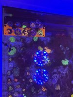 DBD70677-27F0-4557-BE1E-978DB29D4F46.jpeg