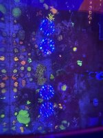 5801AC72-939C-40D9-BCF8-8538078701D0.jpeg