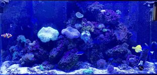 IMG_2299.jpeg