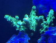 IMG_2125.jpeg
