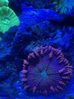 IMG_2109.jpeg