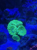 IMG_2108.jpeg