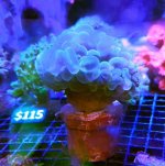 IMG_3573.jpeg
