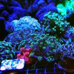 IMG_3572.jpeg