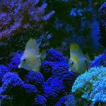 IMG_3570.jpeg