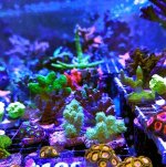 IMG_3569.jpeg