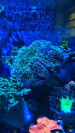 IMG_7248.jpeg