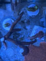 IMG_1912.jpeg