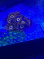 IMG_1911.jpeg