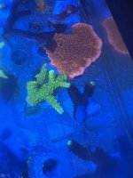 IMG_1908.jpeg