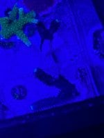 IMG_1910.jpeg