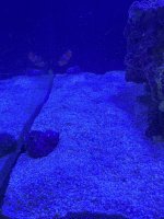 IMG_6188.jpeg