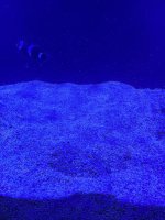 IMG_6187.jpeg