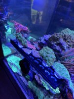 4E214E0B-D222-45C6-BC12-D976376DB99E.jpeg