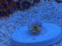 IMG_3406.jpg