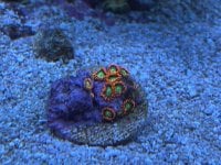 IMG_3410.jpg