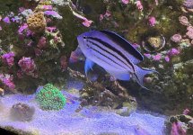 IMG_0553.jpeg