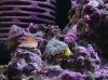 DSCF2374.JPG