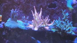 20221120_161539.jpg