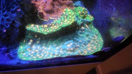 20220915_074419.jpg