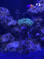 IMG_4221.jpeg