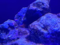 IMG_3279.jpeg
