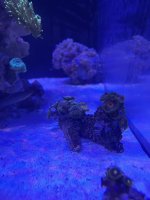 IMG_0856.jpeg