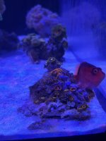 IMG_0855.jpeg