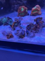 IMG_0854.jpeg