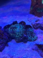 IMG_0853.jpeg