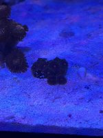 IMG_0851.jpeg
