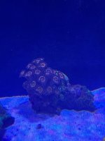 IMG_0849.jpeg