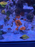 IMG_0847.jpeg
