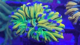 PXL_20230716_183240256.jpg