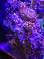 20230706_205228.jpg