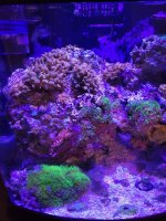 20230706_205215.jpg