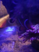 20230706_205240.jpg