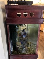 IMG_0493.jpeg