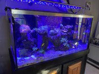 IMG_4924.jpeg