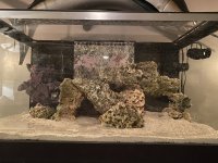 IMG_2623.jpeg
