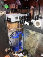 IMG_5216.jpeg