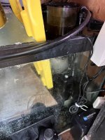 IMG_5217.jpeg