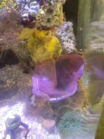 20230717_095350.jpg