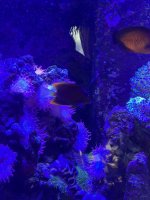 IMG_5532.jpeg