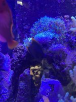 IMG_5531.jpeg