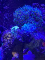 IMG_5535.jpeg