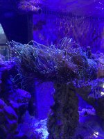 IMG_4920.jpeg