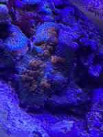 IMG_5540.jpeg